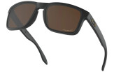 Päikeseprillid OAKLEY Holbrook Matte Black Prizm Tungsten Polarized Matte Black Prizm Tungsten Polarized