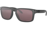 Päikeseprillid OAKLEY Holbrook Steel Collection Prizm Daily Polarized Steel Collection Prizm Daily Polarized