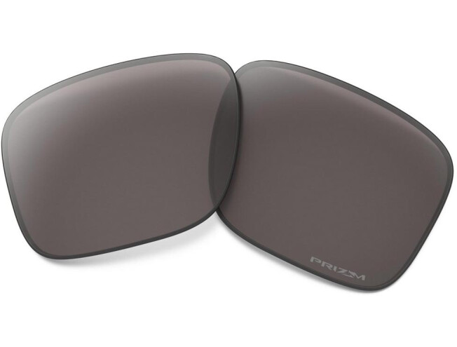 Prilliklaasid OAKLEY Holbrook Prizm Gray Polarized